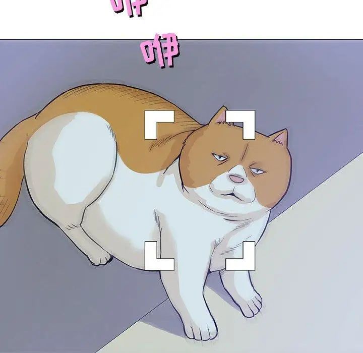 奇趣新人第12话