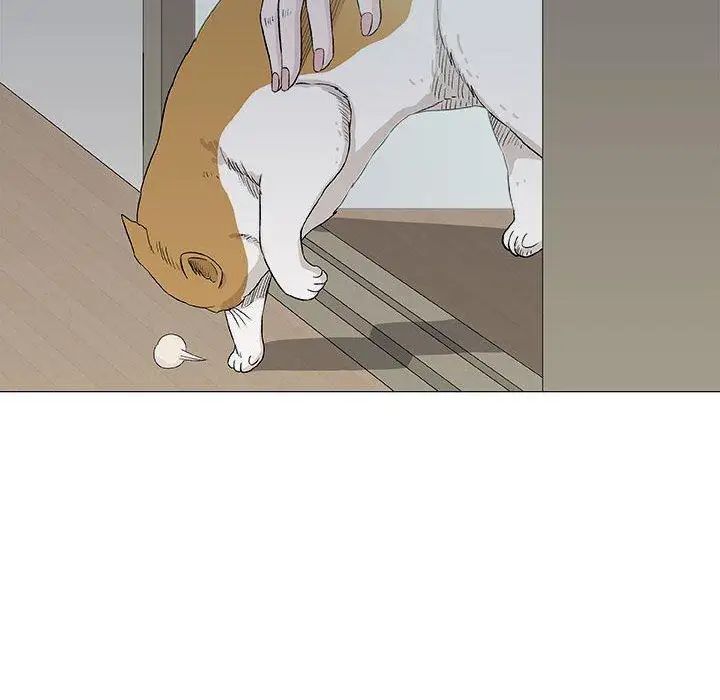 奇趣新人第19话