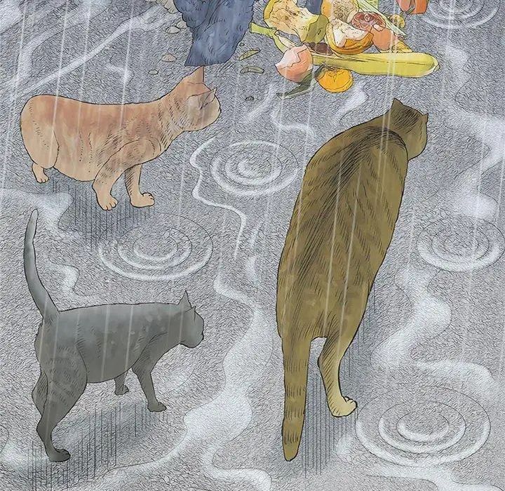 奇趣新人第24话