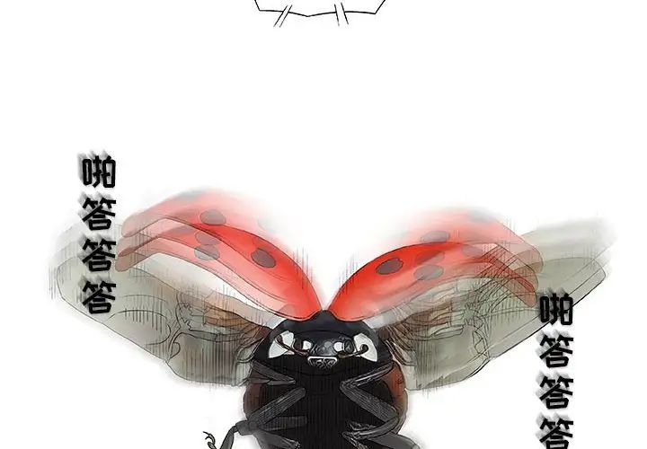 奇趣新人第26话