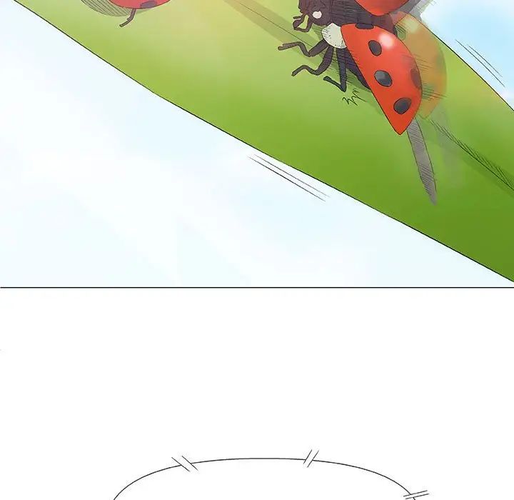 奇趣新人第26話