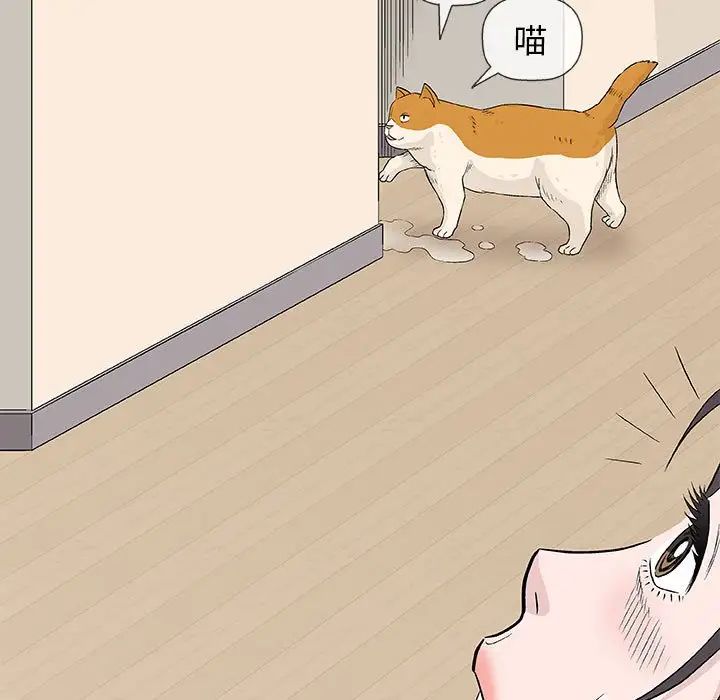 奇趣新人第26话