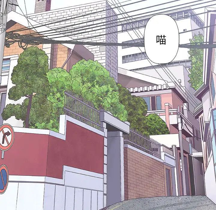 奇趣新人第28话