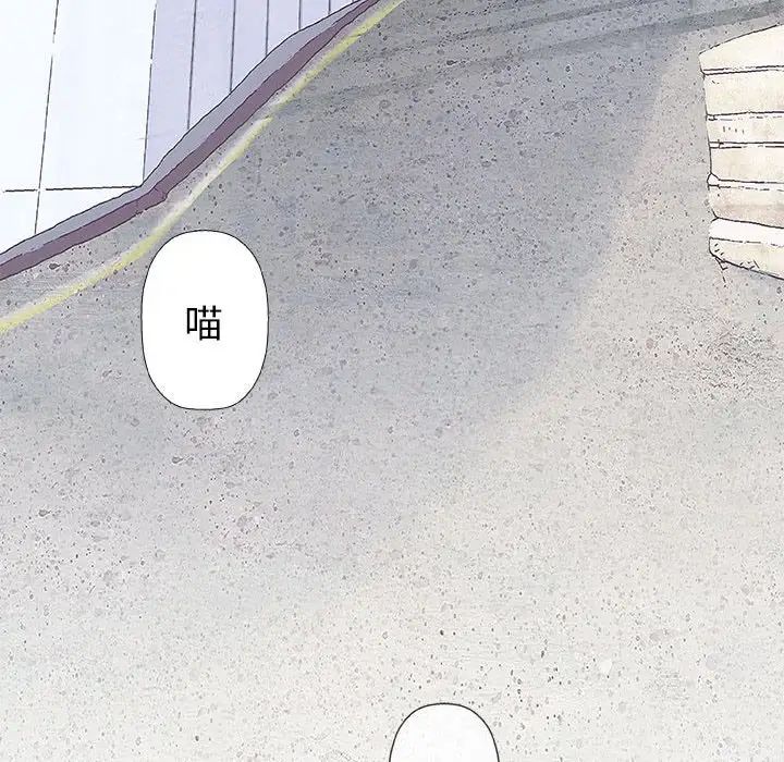 奇趣新人第28話