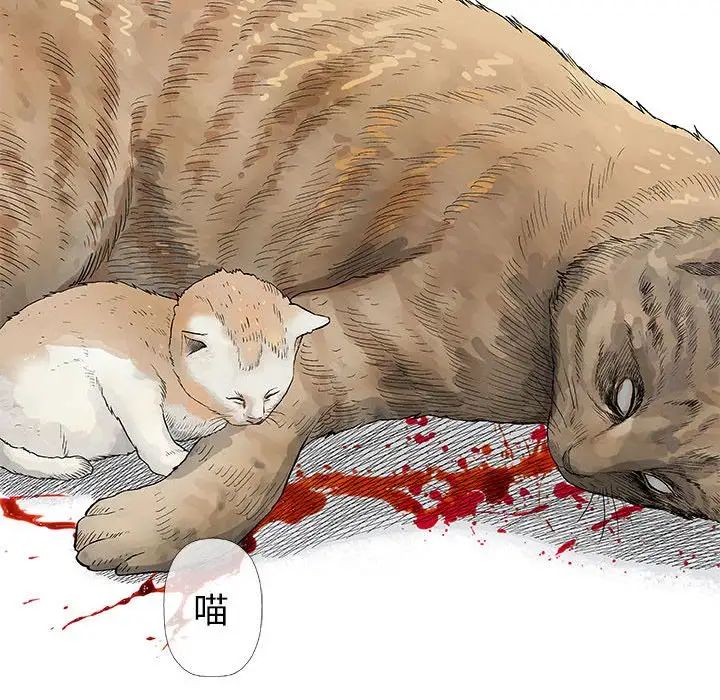 奇趣新人第28话