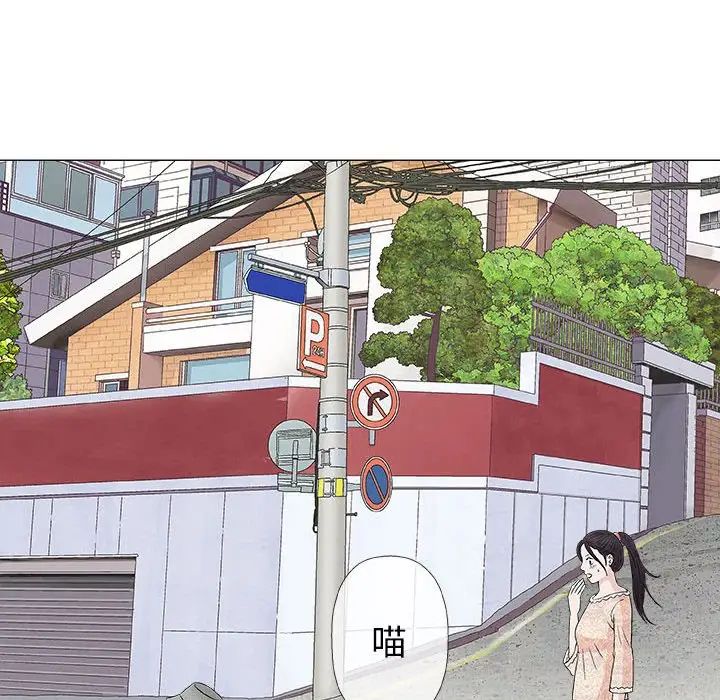 奇趣新人第28话