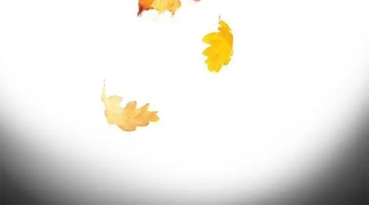 教練教教我第15話