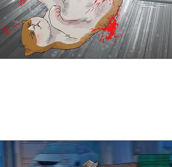 奇趣新人第43话