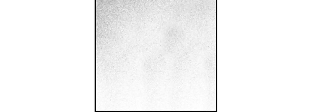 完美无缺的虏获第1话