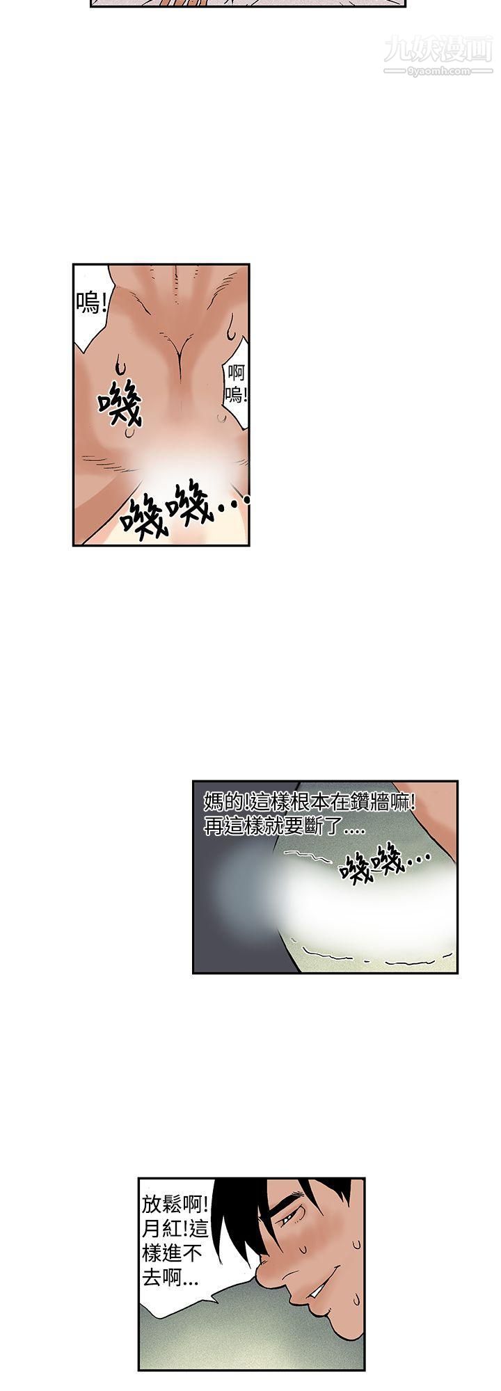 月红夜花第12话