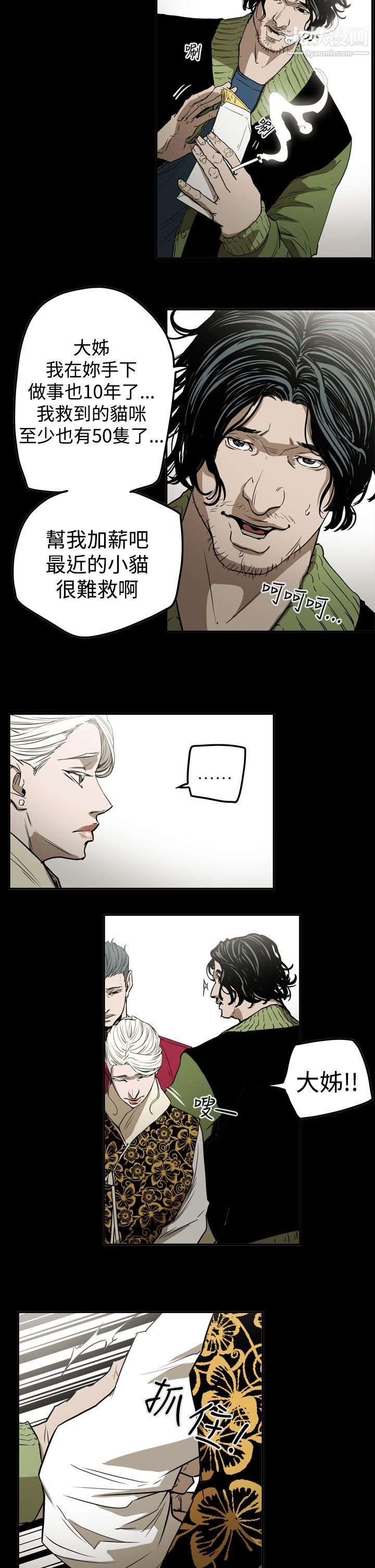 ACE:禁断的诈欺之夜第2季-第27话