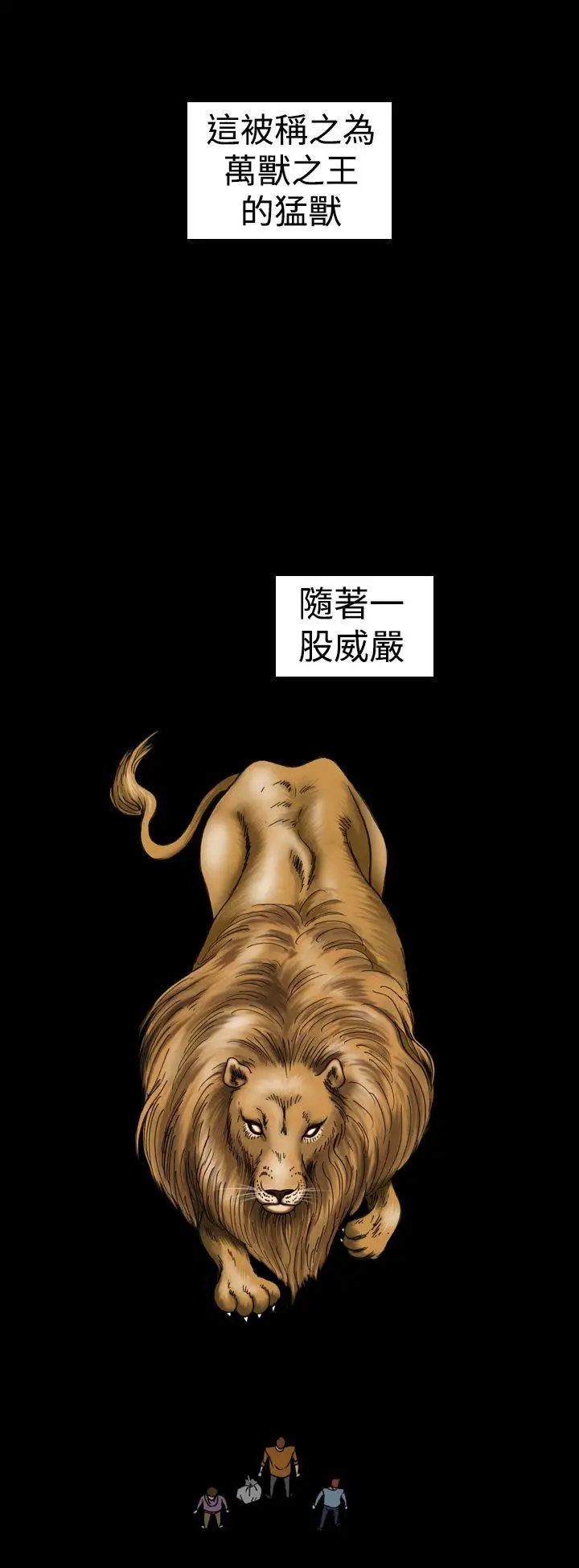 上流社会第11话