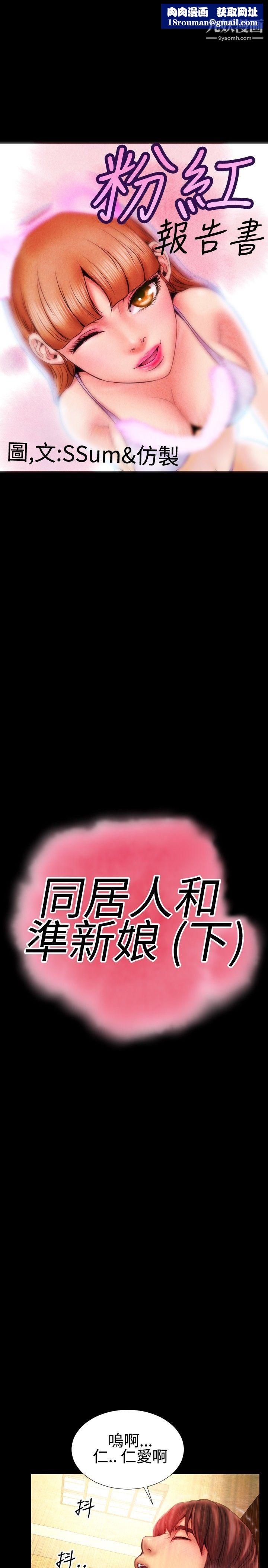 粉紅報告書最終話