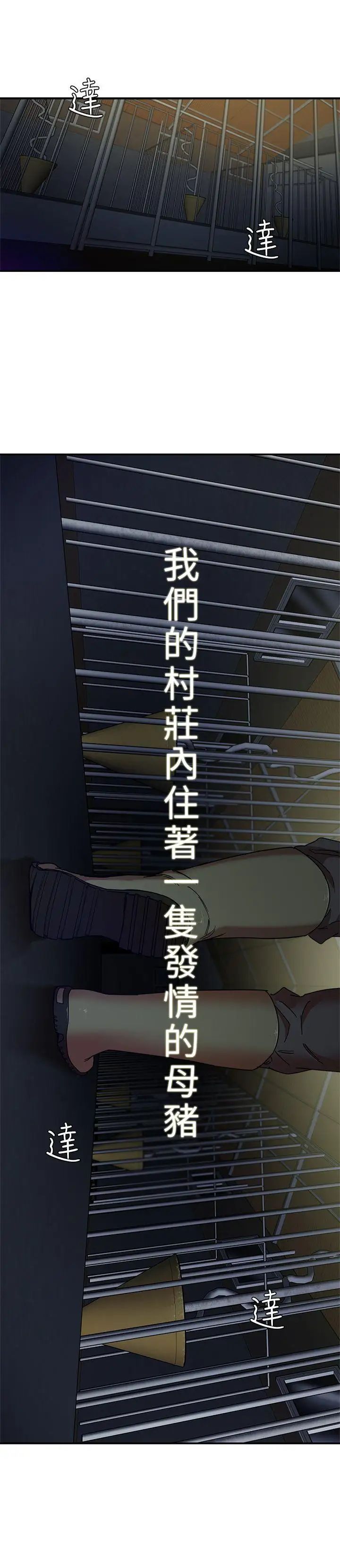 母豬養成計畫第1話-母豬純