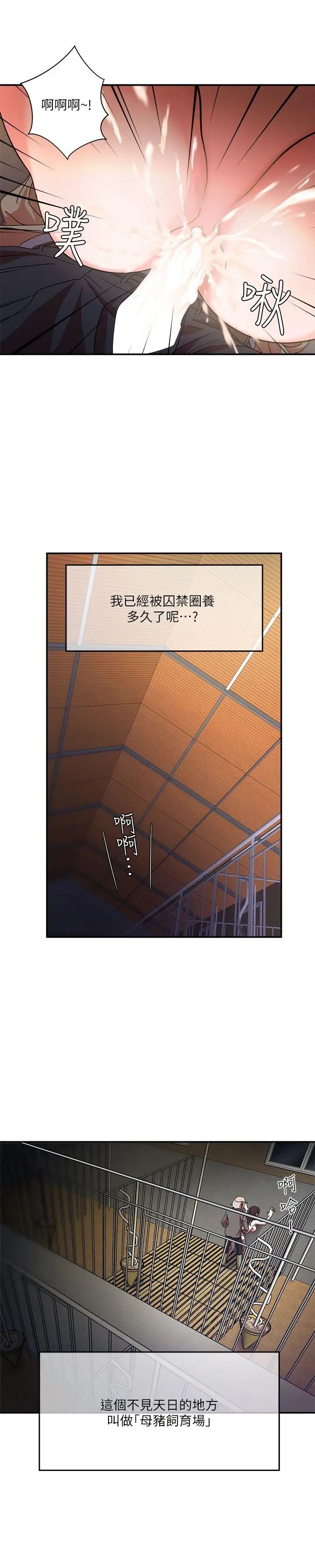 母猪养成计画第1话-母猪纯