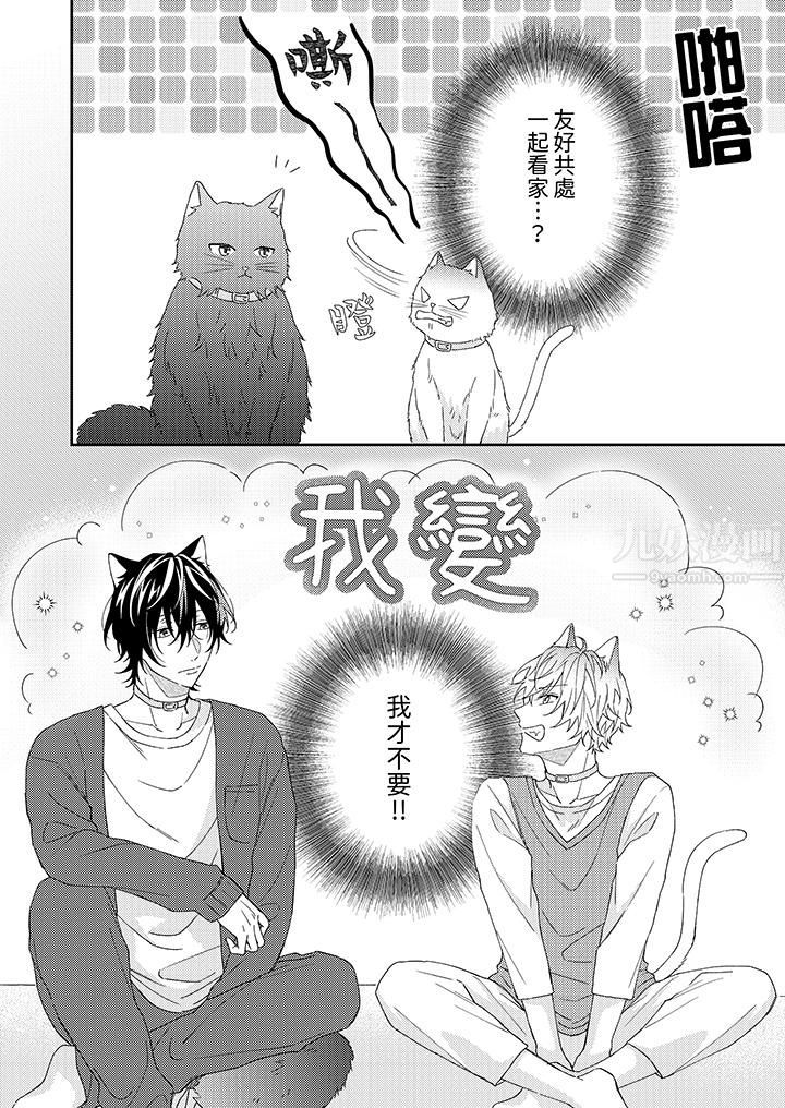 哈鲁和路伊的二喵世界lovelife!第1话