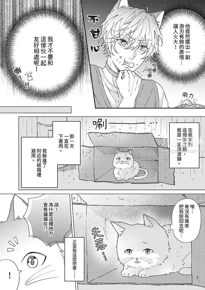 哈鲁和路伊的二喵世界lovelife！第1话