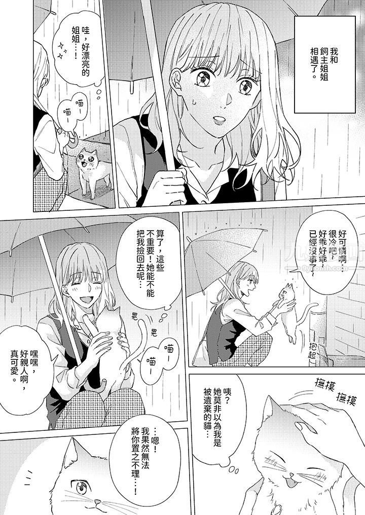 哈鲁和路伊的二喵世界lovelife！第1话