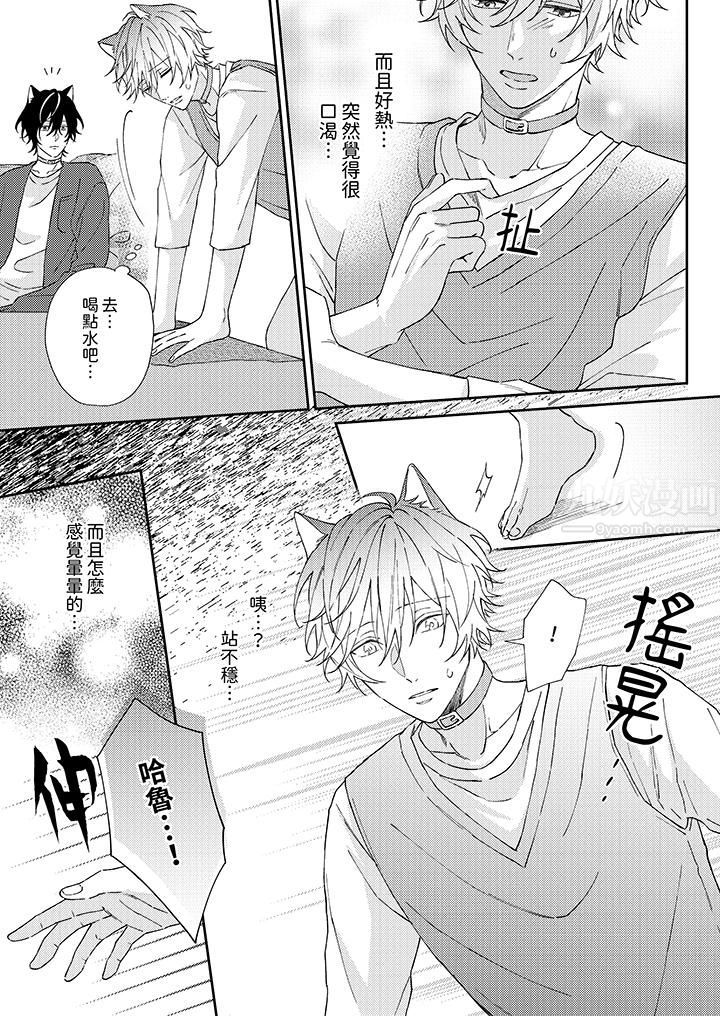 哈鲁和路伊的二喵世界lovelife！第2话