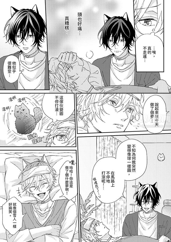 哈鲁和路伊的二喵世界lovelife！第2话