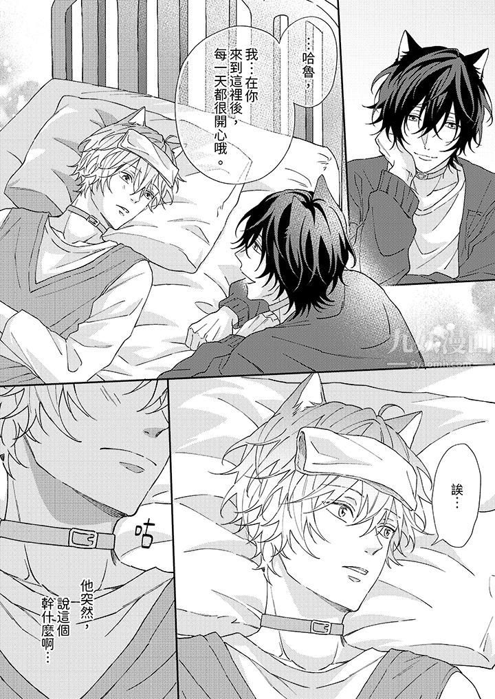 哈鲁和路伊的二喵世界lovelife!第2话