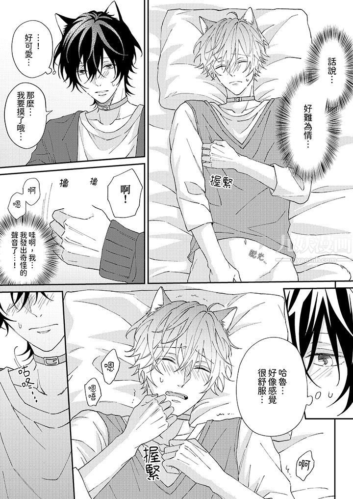 哈鲁和路伊的二喵世界lovelife!第2话