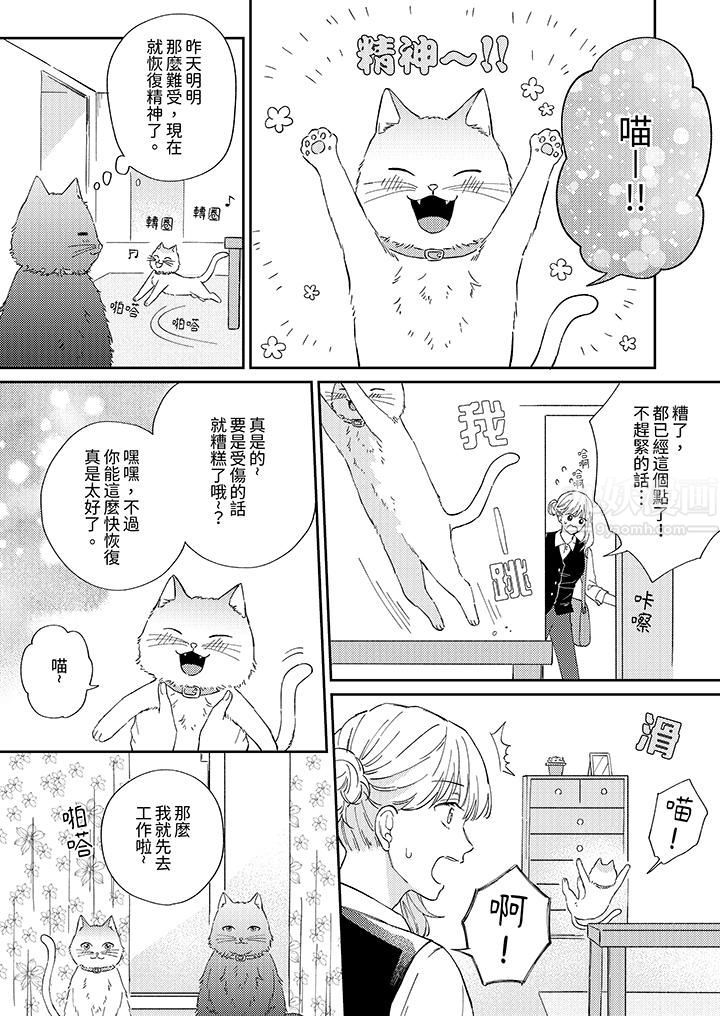 哈鲁和路伊的二喵世界lovelife！第3话