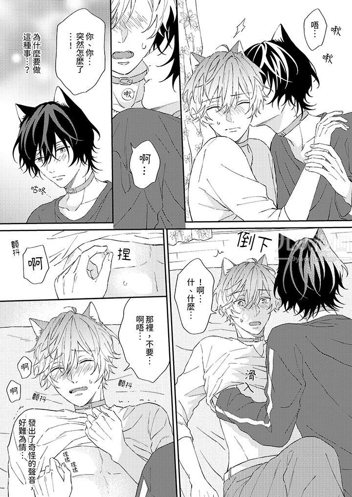 哈鲁和路伊的二喵世界lovelife！第4话