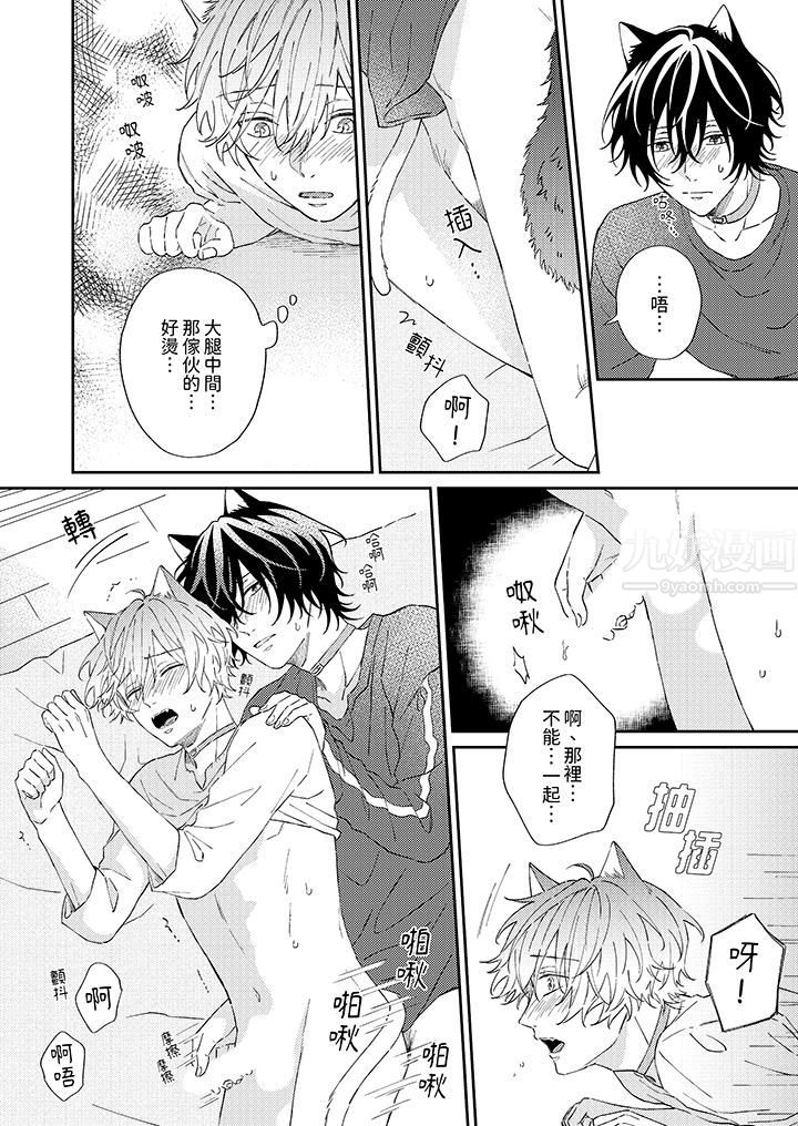 哈鲁和路伊的二喵世界lovelife!第4话