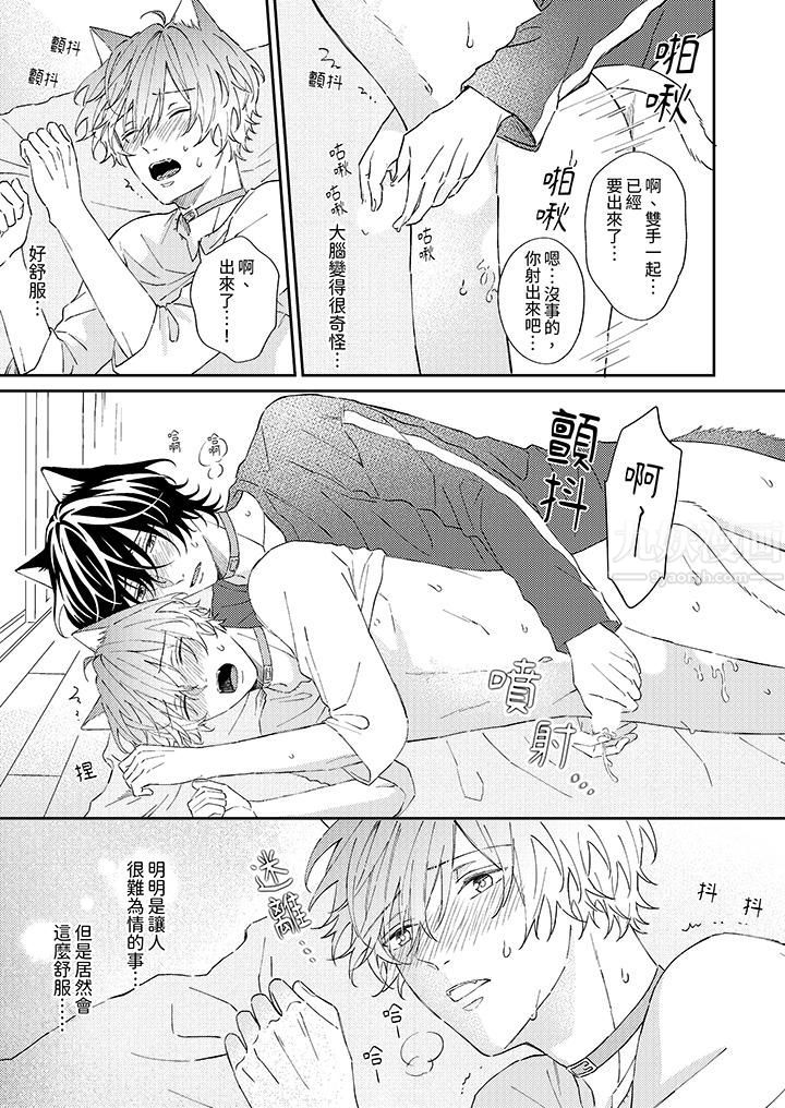 哈鲁和路伊的二喵世界lovelife!第4话