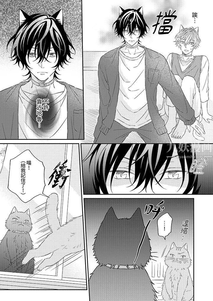 哈鲁和路伊的二喵世界lovelife!第5话