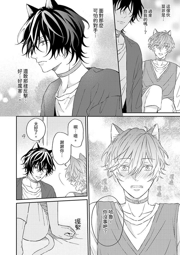 哈鲁和路伊的二喵世界lovelife!第5话