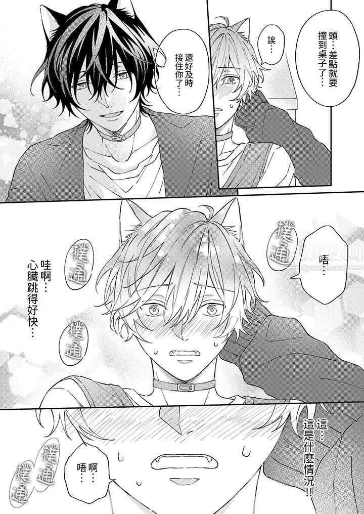 哈魯和路伊的二喵世界lovelife！第5話