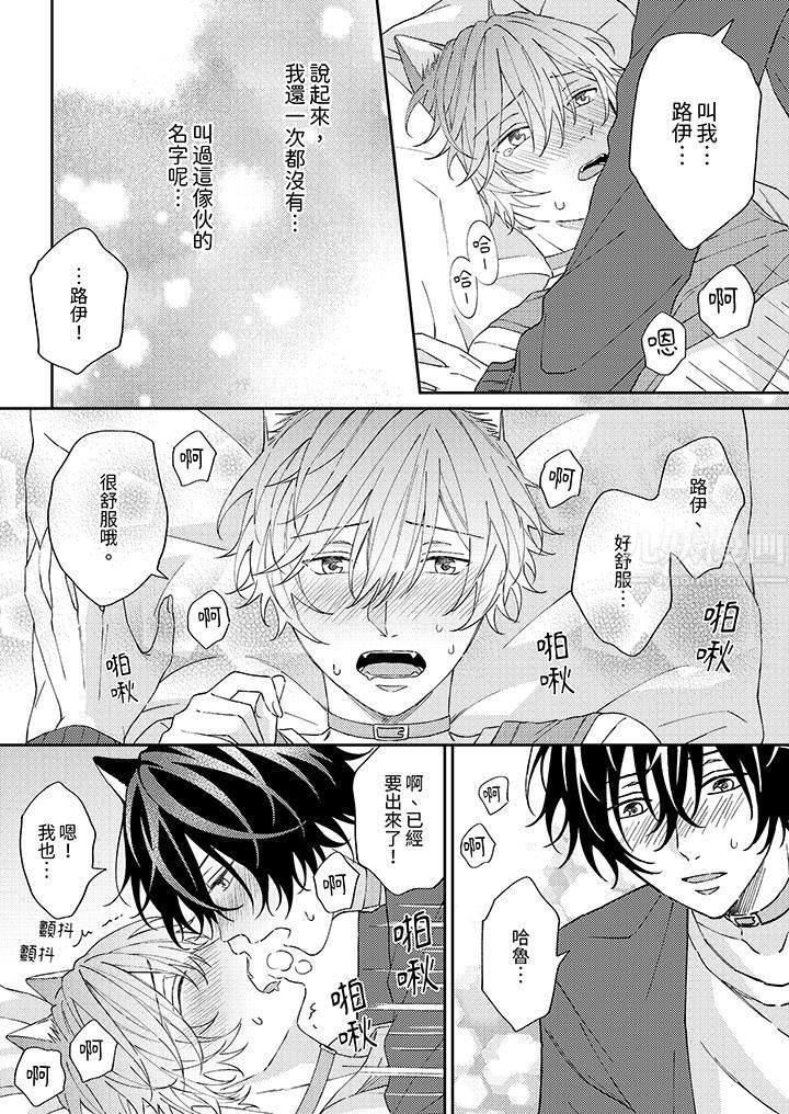 哈鲁和路伊的二喵世界lovelife！第6话