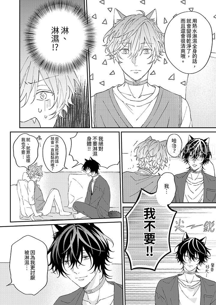 哈鲁和路伊的二喵世界lovelife!第7话