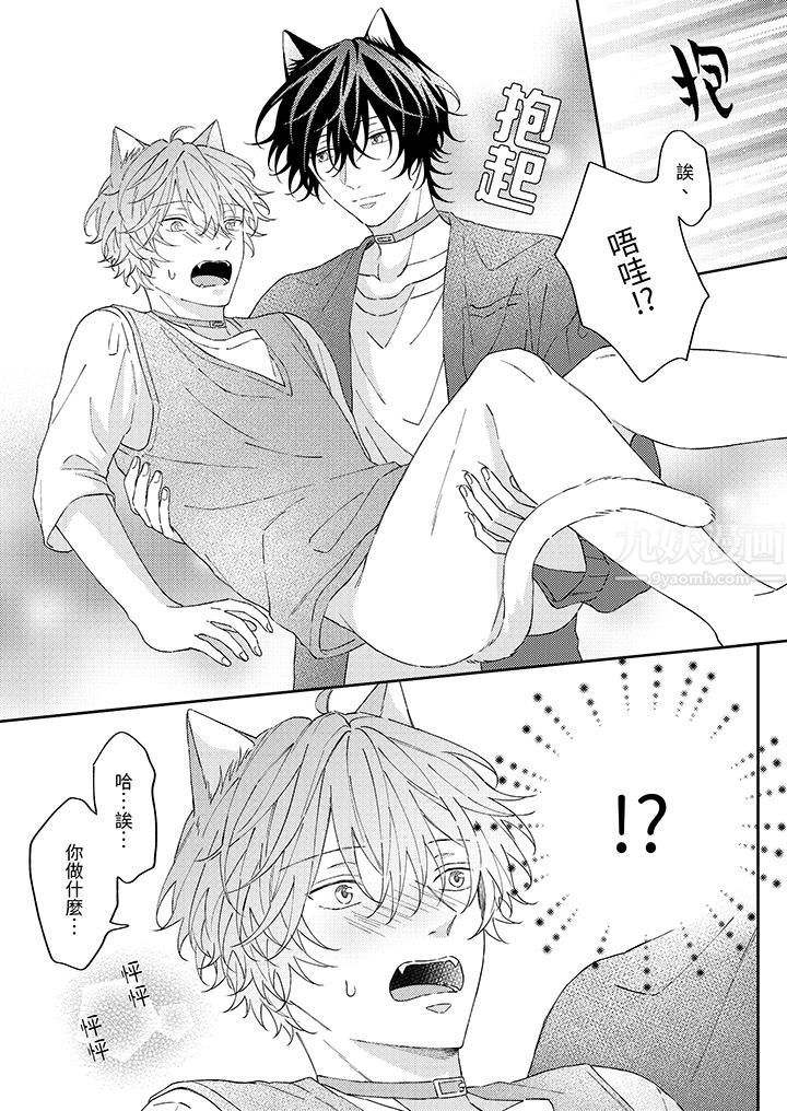 哈鲁和路伊的二喵世界lovelife！第7话