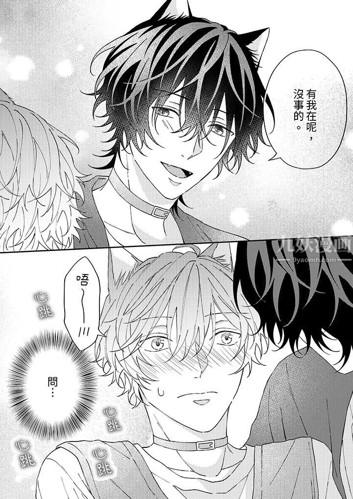 哈鲁和路伊的二喵世界lovelife！第7话