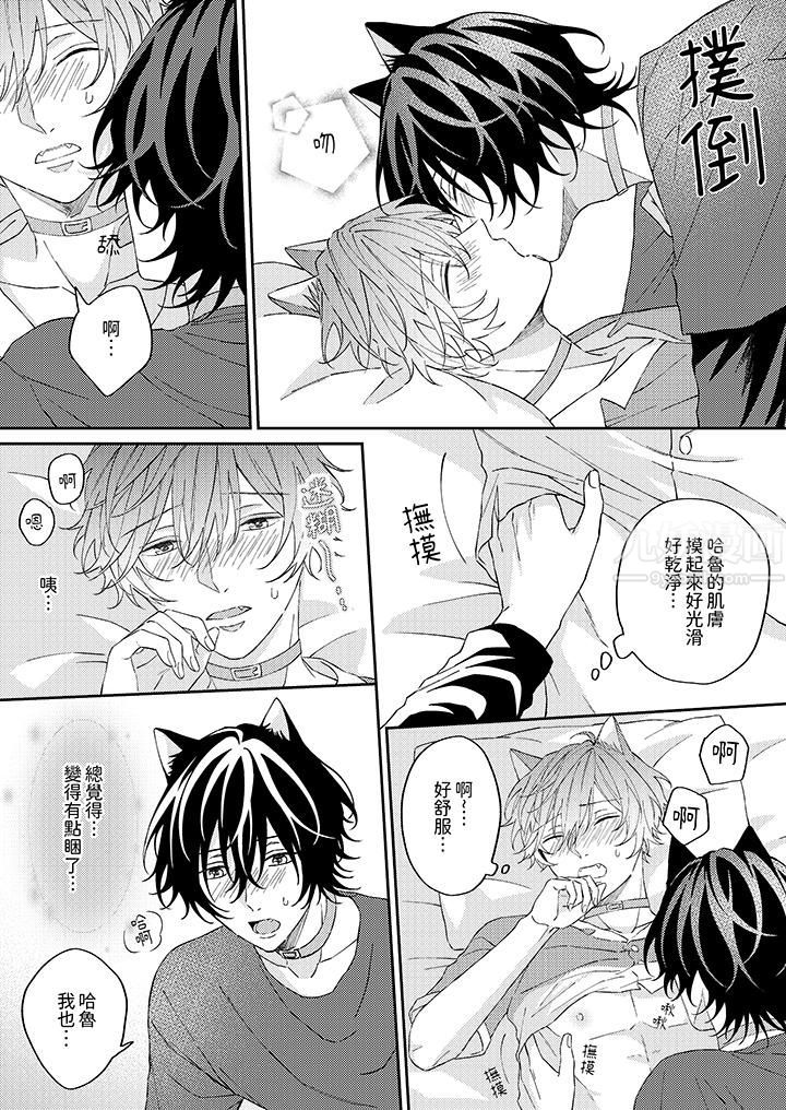 哈鲁和路伊的二喵世界lovelife！第8话