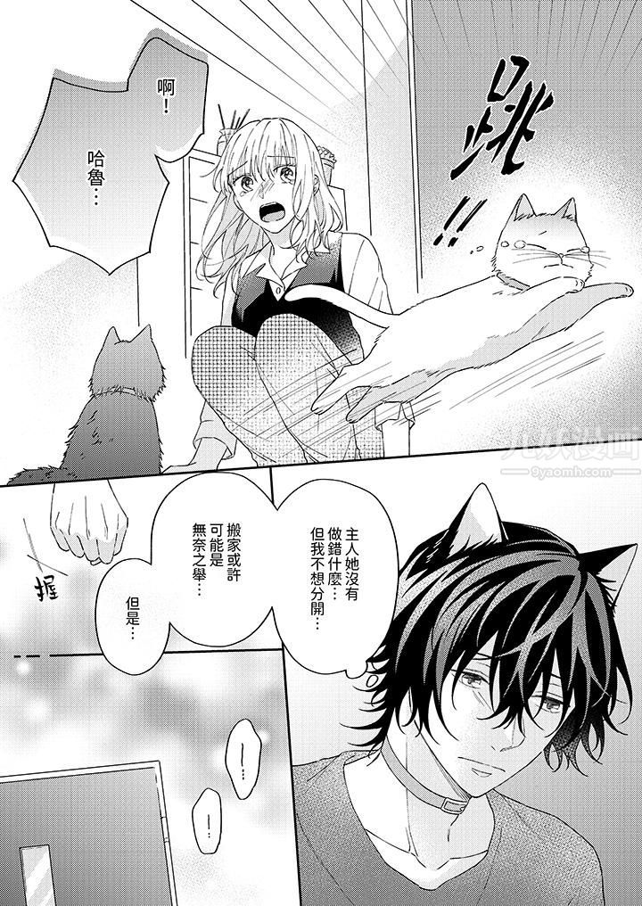 哈鲁和路伊的二喵世界lovelife！第8话