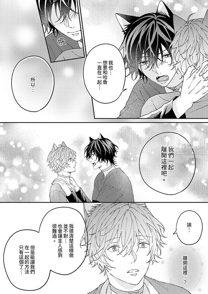 哈鲁和路伊的二喵世界lovelife！第9话