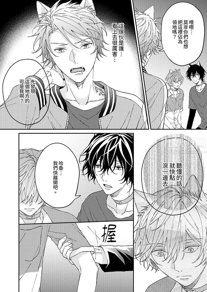 哈鲁和路伊的二喵世界lovelife！第9话