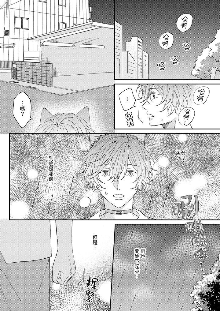 哈鲁和路伊的二喵世界lovelife!第11话