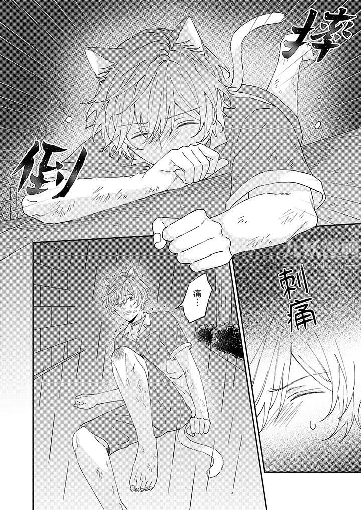 哈鲁和路伊的二喵世界lovelife！第11话