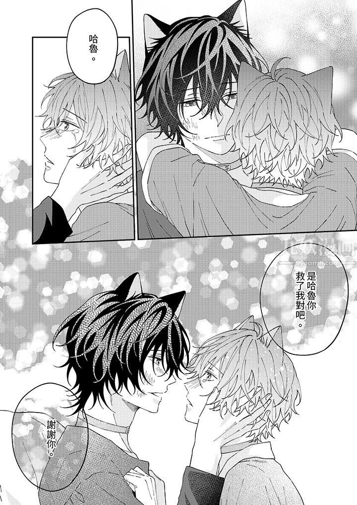 哈鲁和路伊的二喵世界lovelife!第12话