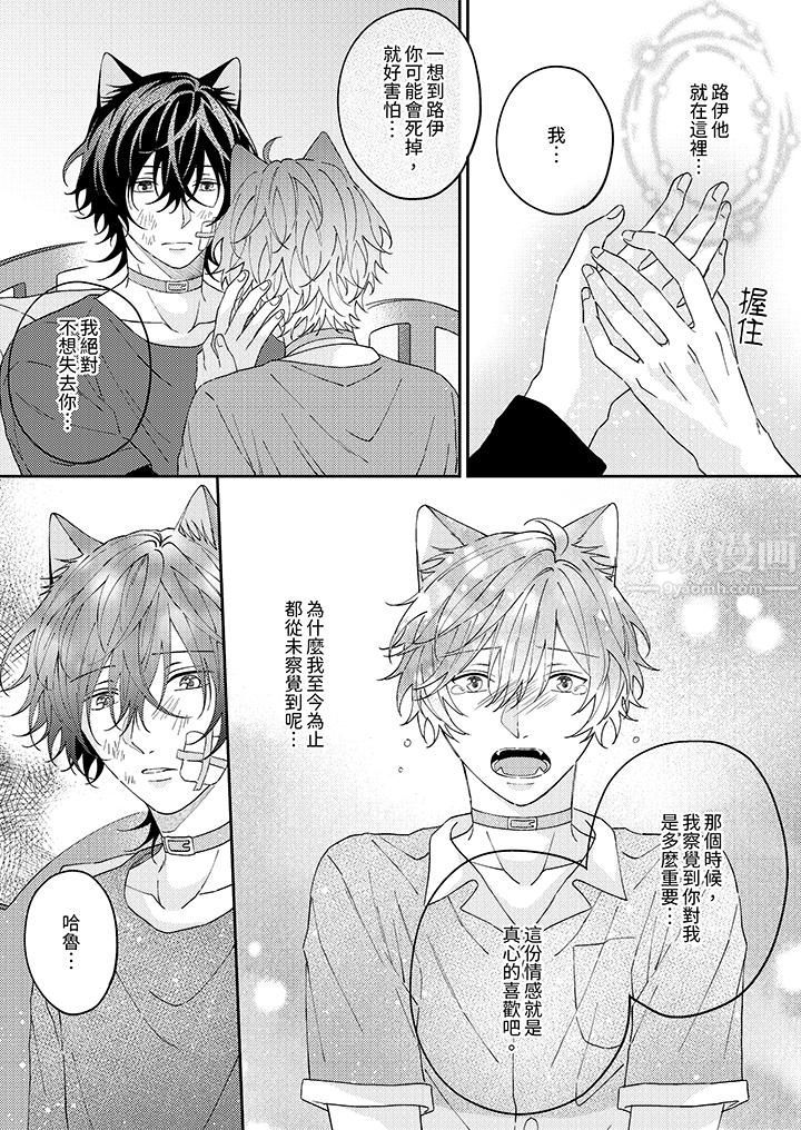 哈魯和路伊的二喵世界lovelife！第12話