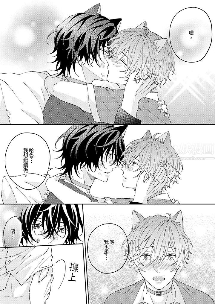 哈鲁和路伊的二喵世界lovelife!第12话