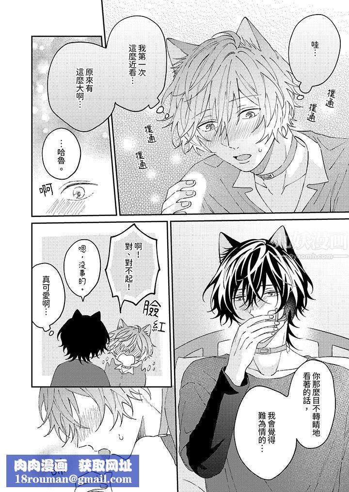 哈鲁和路伊的二喵世界lovelife！第12话