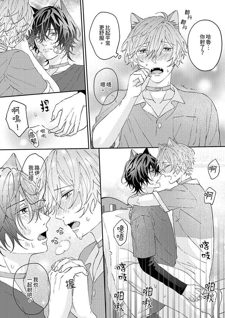 哈鲁和路伊的二喵世界lovelife！第12话