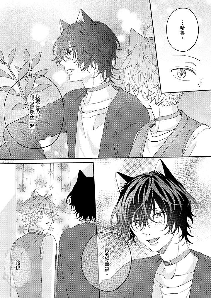 哈鲁和路伊的二喵世界lovelife!第13话