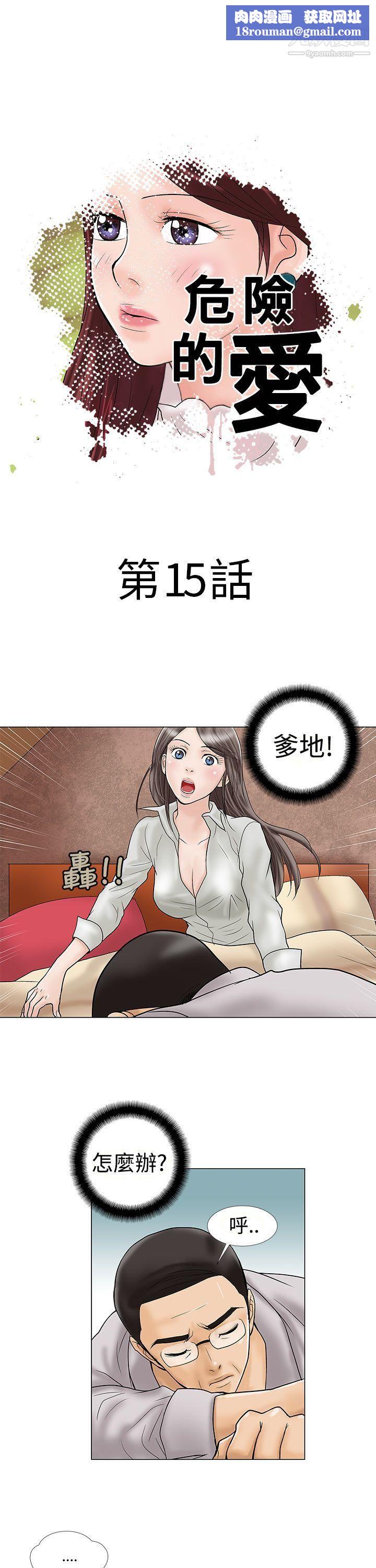 危险的爱第15话